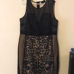 Lane Bryant Blue Lace Dress